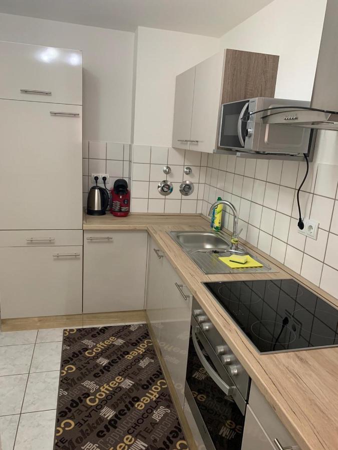 Apartment Saxonia Pirna Ngoại thất bức ảnh